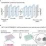 Cell-free biosynthesis combined with deep learning accelerates de novo-development of antimicrobial peptides