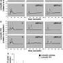 Ciliary Polycystin-2 Is a Mechanosensitive Calcium Channel Involved in Nitric Oxide Signaling Cascades