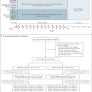 Cabotegravir for HIV Prevention in Cisgender Men and Transgender Women
