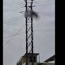 2 Tangedco workers electrocuted near Trichy