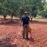 How R. Narasimman Earns Rs. 50 Lakh Annually from Mangoes, Bananas, Timber & Training- Redefining Agroforestry for a Self-Sufficient Future