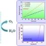 Role of Transition Metal Substitution on Nickel Sulfide toward Electrocatalytic Water Splitting