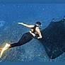 Dive Into The Depths