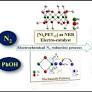 Electrocatalytic Reduction of Nitrogen to Ammonia Using Tiara-like Phenylethanethiolated Nickel Cluster