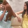 'We understand the complicated nature of love': Vikram Bhatt reacts to Vijay, Trisha Krishnan rumours