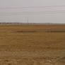 Greening of barren lands – the local way