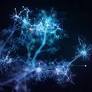 Detecting & Addressing LLM 'Hallucinations' in Finance