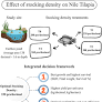 Effect of Stocking Density on Growth Performance and Economic Return of Nile Tilapia (Oreochromis niloticus) in Non‐Aerated Semi‐Intensive Ponds of Bangladesh