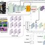 End-to-end human parsing and detection optimized for resource-constrained devices | Scientific Reports