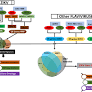 Determination of system level alterations in host transcriptome due to Zika virus (ZIKV) Infection in retinal pigment epithelium