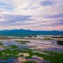 Wetlands hold carbon and climate hope