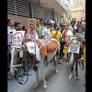 BJP blockades TMC MLA’s home in central Kol
