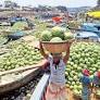 Watermelon farmers in south suffer despite bumper harvests