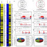 Dual transcriptome sequencing reveals resistance of TLR4 ligand-activated bone marrow-derived macrophages to inflammation mediated by the BET inhibitor JQ1