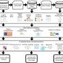 Multistage feature selection and stacked generalization model for cancer detection