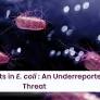 Penicillin-Binding Protein 3 Inserts in E.coli:A Growing Burden of Underreported Threat