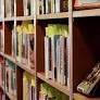 Ananya Karthik | Why aren’t we reading anymore?