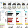 Beach sand oil spills select for generalist microbial populations