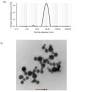 Mechanistic elucidation of a terpenoid nano-bionematicide for the management of root-knot nematodes, Meloidogyne incognita infecting tomato