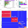 Plasmid dynamics driving carbapenemase gene dissemination in healthcare environments: a nationwide analysis of closed Enterobacterales genomes