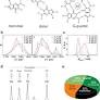 Temperature and pressure limits of guanosine monophosphate self-assemblies