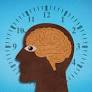 New Theory of Learning Upends the Lessons of Pavlov’s Dog