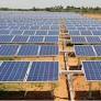 TNEB officials face suspension amid probe into solar project approvals