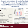 Chronic intermittent hypoxia facilitates the development of angiotensin II-induced abdominal aortic aneurysm in male mice