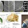 Leaftronics: Natural lignocellulose scaffolds for sustainable electronics