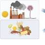 Inhalation and inflammation: examining aeroallergens and eosinophilic esophagitis