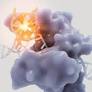Longevity Startup VitaDAO Raises $4.1m, Backed By Pfizer, Balaji Srinivasan