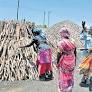 Trial of twin hurdles: Employment, transport issues may test Thangam Thennarasu in TN's Tiruchuli