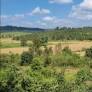 Assam, Meghalaya agree to continue farming in Lapangap, defer border demarcation