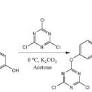 SUZUKI-MIYAURA CROSS-COUPLING REACTION OF DICHLORO-HETEROAROMATICS: SYNTHESIS OF FUNCTIONALIZED DINUCLEOPHILIC FRAGMENTS