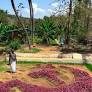 Kerala’s ‘Madhuvettan’ turns farm into 30-foot hammer and sickle every poll season, backs CPM...