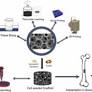 A review on biomaterials-based scaffold: An emerging tool for bone tissue engineering