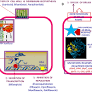 M. tuberculosis Hypothetical Proteins and Proteins of Unknown Function: Hope for Exploring Novel Resistance Mechanisms as well as Future Target of Drug Resistance