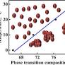 Cluster Formation and Phase Transitions Induced by Vibrational Strong Coupling