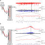 Activity-Dependent Global Downscaling of Evoked Neurotransmitter Release across Glutamatergic Inputs in Drosophila