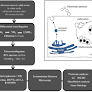 Vesicle-based secretion in schistosomes: Analysis of protein and microRNA (miRNA) content of exosome-like vesicles derived from Schistosoma mansoni