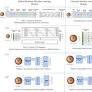 Reproducibility report: quantum machine learning methods in fundus analysis—a benchmark study