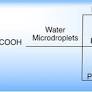 Superfast Formation of C(sp2)−N, C(sp2)−P, and C(sp2)−S Vinylic Bonds in Water Microdroplets