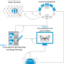 Translating behavioral interventions into virtual reality: the Transcend Framework for immersive health design
