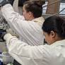 Innovations in Resource Recovery and Water Quality