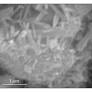 Synthesis and Characterization of Selenium Nanowires