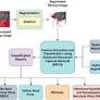 Enhanced recurrent capsule network with hyrbid optimization model for shrimp disease detection