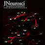 A Midbrain Inspired Recurrent Neural Network Model for Robust Change Detection