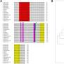 A conserved SNP variation in the pre- miR396c flanking region in Oryza sativa indica landraces correlates with mature miRNA abundance