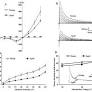 Subunit contribution to NMDA receptor hypofunction, redox sensitivity of hippocampal synaptic transmission during aging