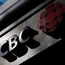 CBC viewers critical of broadcaster's 'bias' after Travis Dhanraj claims